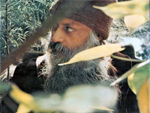 Osho on Joshu and Consciousness