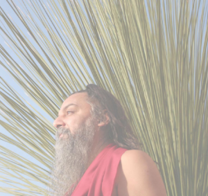 swami rajneesh on stillness