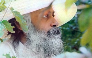 Osho on Jalaluddin Rumi